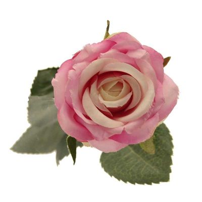 Diamond Rose Lavender 61cm 