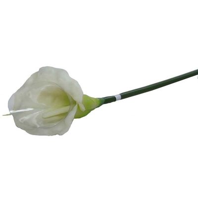 Medium Calla Lily Cream/Green 