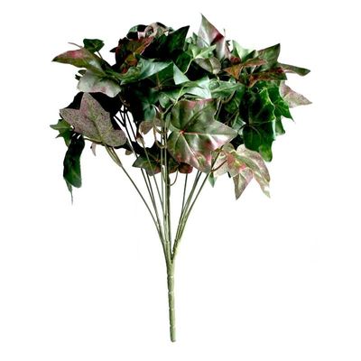 Ivy Bush x 14 Green/Red 