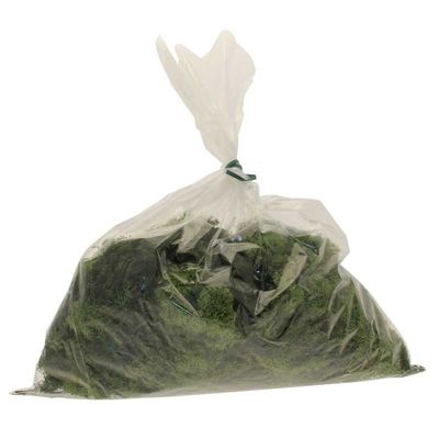 Light Green Reindeer Moss (500g)