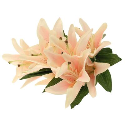 Lily Bush x 9  Light Pink 