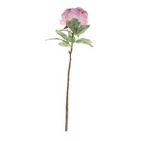 Single Peony Pink  (71cm)