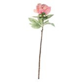 Single Peony Peach (71cm)