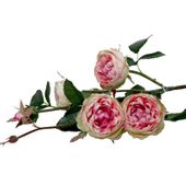 Peony Rose x 4 Blush Pink