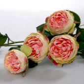 Peony Rose x 4 Peach