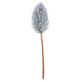 Single Giant Pine Pick (56cm)