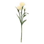 Cornflower with 2 Heads White 