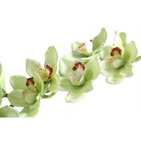 Real Touch Large Cymbidium With 9 Flowers Green (36 inch)