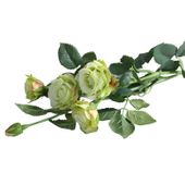 Camelot Garden Rose Spray Spring Green
