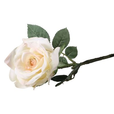Olivia Rose Cream (72cm)