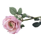 Olivia Rose Antique Pink (72cm)