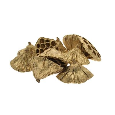 Gold Medium Lotus Heads (x50) (6-8cm)