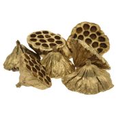 Gold Large Lotus Heads (x50) (8-12cm)