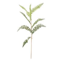 Mini Fern Spray 