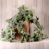 Large Frosted Ivy Bush