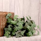 Small Frosted Ivy Bush 