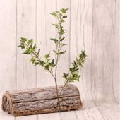 Mini Ivy Spray Green/White 