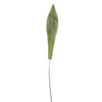 Bird Nest Fern Single Leaf (Plastic) (28 inch)