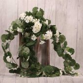 Trailing Geranium White 11 Heads (102cm)