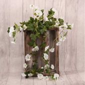 Trailing Petunia Bush White (82cm)