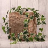 English Ivy Garland Green Variegated (1.8m)