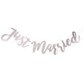 Silver Glitter Just Married Banner 