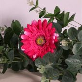 Single Gerbera Beauty (62cm)