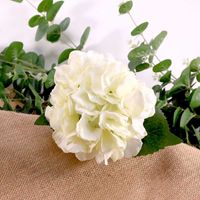 Hydrangea Pick Cream