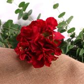 Hydrangea Pick Red 